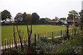 The bowls green by Whitstable Castle