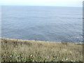 Seaward view from Durham Coast Path