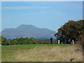 Ben Lomond looking over The Carrick Golf Course