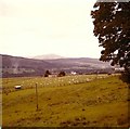 The view towards Blair Castle from Tirinnie