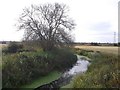 Common Watercourse to Rainham Marshes