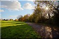 Pathway between Falcon Way and the parkland