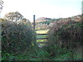 Footpath across paddocks