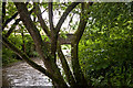 A Bridge Over Venn Stream On Bableigh Road At Landkey