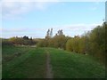 Path around the lake, Kennington Park, Thurrock