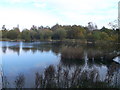 Kennington Park Lake, Thurrock