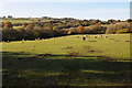 Farmland to the south-west of Bryngwyn