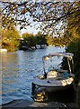 Boats at moorings, Hurst Park and Garrick