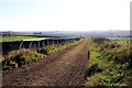 All weather gallops near Woodway