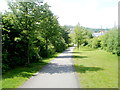 Path through Taff Bargoed Millennium Park, Trelewis