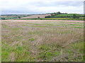 ST6861 : Field near Priston by Nigel Mykura