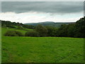 Woods south of Oxenards Farm