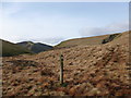 NT1606 : Southern Upland Way below Capel Fell by Alan O'Dowd