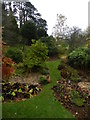 SP3645 : Bog garden at Upton House by Peter Barr