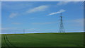 NZ3746 : Pylons, near Murton by Richard Cooke