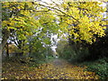 The Trans Pennine Trail