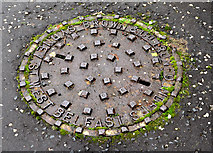 J3581 : "Browns" manhole cover, Rushpark, Newtownabbey by Albert Bridge