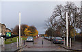 Glasgow Green Gate