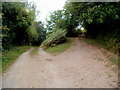 A fork in the track, Ewyas Harold Common