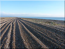 TM4552 : Vehicle tracks on Orford Ness by Richard Law