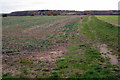 Farm track looking toward Daintry Wood