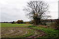 Brook runs along the field edge