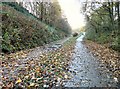 SJ9594 : Trans Pennine Trail by Gerald England