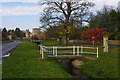 Snape village green