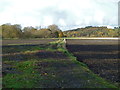 Track to the Manchester Ship Canal