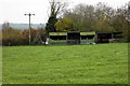 Animal shelter on the edge of the paddock