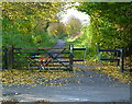 Trans Pennine Trail at Lynnhay Lane crossing