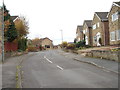 Filey Royd - viewed from Royd Wood