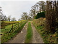 Track leading to Lady Hill