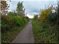 Path of disused railway near Heatley, Lymm