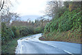 NM9248 : A828 near Portnacroish by Steven Brown