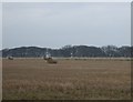 Bales in the field near Quarry Farm