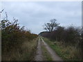 Track to Quarry Farm