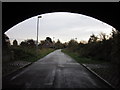 Marfleet Lane Bridge