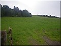 Gate opens to the deep field and woodland corner