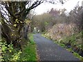 Lanchester Valley Railway Path