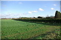 Long trimmed hedge