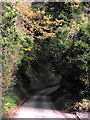 Lane out of Broughton near Claverley, Shropshire