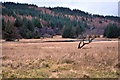 NM9527 : Rough grazing in Glen Lonan by Steven Brown