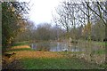 Fishing pond east of Carr