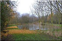 SK5190 : Fishing pond east of Carr by Neil Theasby