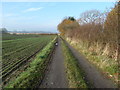 Track from Reddish House to the Ship Canal, Lymm