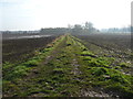 Track from Ship Canal towards Lymm village