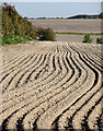 TL4855 : Autumn fields on Limekiln and Missleton Hills by John Sutton