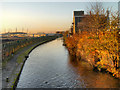 SJ8798 : Ashton Canal, Clayton by David Dixon