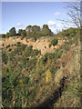 Sandstone rock near Halfpenny Green, Staffordshire